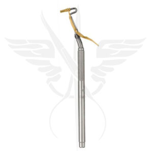 Distal