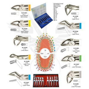 EXTRACTING FORCEPS ( English Pattern)