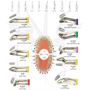 EXTRACTING FORCEPS ( American Pattern) .