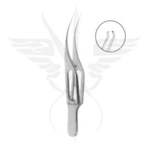 Colibri
