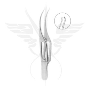 Colibri