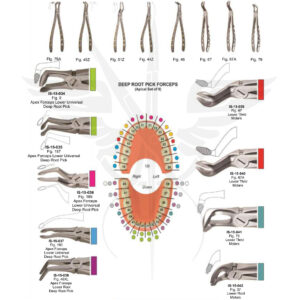DEEP ROOT PICK FORCEPS