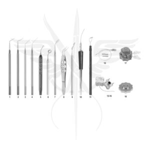 ENDOTHELIAL TRANSPLANTATION SET